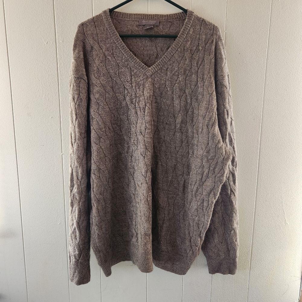Daniel Cremieux Brown V-Neck Sweater